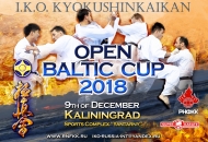 Международный турнир Open Baltic Cup