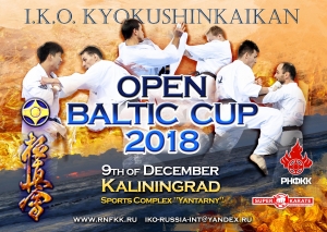 Международный турнир Open Baltic Cup